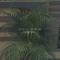 Lee home stay
