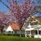 Holiday Park Dennenbos - 东卡佩勒