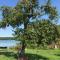 Forsthaus am See Lychen
