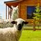 Deerbrooke Kaikōura Chalets - Chalet 2 - 凯库拉 Deerbrooke Kaikōura Chalets - Chalet 2 - 凯库拉