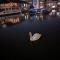 New Horizon - A beautiful boat very conveniently located in Chelmsford City