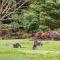 Halls Gap Retreat