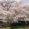 Kashiwanoha Hotspring Garden Villa&Suite Room