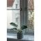 Towpath Gardens Apartment (Free Parking and Central)