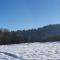 Wohnung im Schwarzwald mit Panorama Blick - Kleines Wiesental