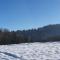 Wohnung im Schwarzwald mit Panorama Blick