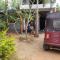 Tiny Homestay