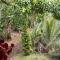 Maliyeckal Homestay