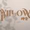 Willow Pillow Guest House & Poshtel - Chumphon