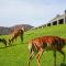 Wildehondekloof Game Lodge