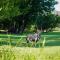 Wildehondekloof Game Lodge