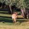 Wildehondekloof Game Lodge