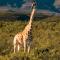 Wildehondekloof Game Lodge