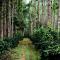 Coorg Mystere - Luxury Homestay