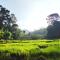 Homestay in wilderness - Kandy