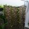 Leel’s Safari Cottage