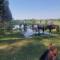 Estancia La violeta
