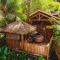West Indies Cottage, cottages haut de gamme avec piscine, jacuzzi et vue jungle