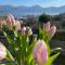B&B Panorama Iseo