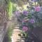 Gîte 3 "le Canal de Baza" aux Magnolias