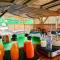 Tropicana Suites