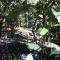 Boquete Firefly Inn
