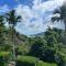 Whitsundays Ocean & Rainforest views Airlie Beach