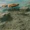 7 CIELOS BACALAR.