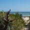 Ti Tree House - Live like a Bonbeach Local
