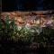 Backyard Hostel