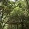 Wild Grass Nature Resort