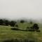 Ten Acres