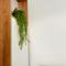 Foleza Studio Apartament-Shengjin