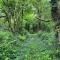 Secluded woodland annex between Mylor and Flushing