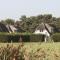 Dutchen Waddenduyn