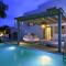 Villa Dafni 4Bed with Pool in Kalafatis Spilia - 米克诺斯城