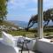 Villa Dafni 4Bed with Pool in Kalafatis Spilia - 米克诺斯城