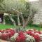 Villa Maria di Torre with private pool near Poreč 4 km from the sea - Tar