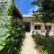 Wild Monkeys Hostel