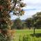 Elfin Hill Vineyard Accommodation - Pokolbin