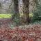 Maxs Woodland Lodge