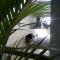 Grand Amira Hotel Solo, Azana Hotels Collection