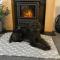 Kinneuchar Cottage - by Elie, Dog Friendly. - Kilconquhar