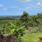 A80@VIPINGO RIDGE