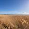 Camping Mar Estang 4 étoiles - 鲁西隆地区卡内 Camping Mar Estang 4 étoiles - 鲁西隆地区卡内