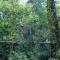Vyna Hillock Resort and Spa