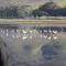 Rivers End Farm Stanford with solar energy - Stanford