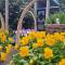 Fleurdelis