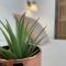 MarketHome Puertito de Guimar