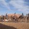 Hostel la palmeraie merzouga - 梅尔祖卡